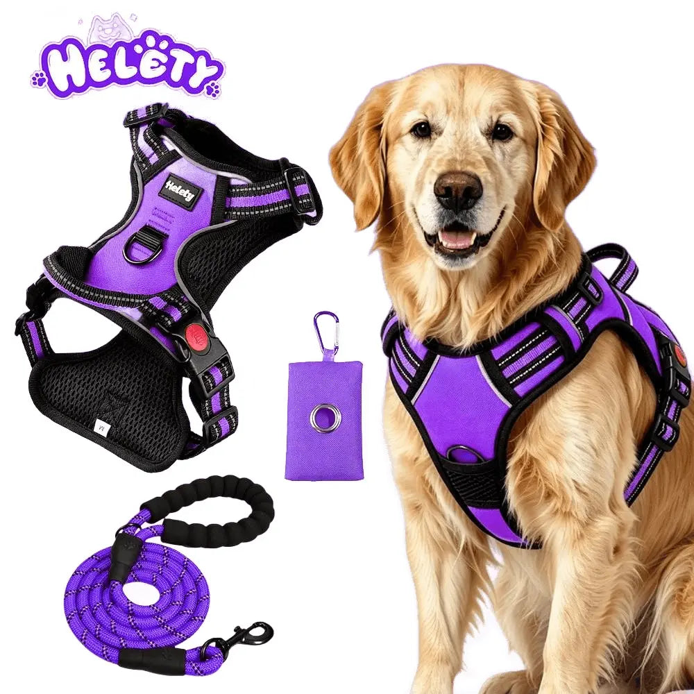 HELETY 3-in-1 Adjustable No-Pull Dog Vest Harness and Leash Set, Available in S-XL, Features Dual D-Ring Clips, 360° Reflective Design, Padded Chest, Durable Oxford Fabric, Night Safety, Integrated Poop Bag Holder, and Tangle-Free Bungee Strap for Running.