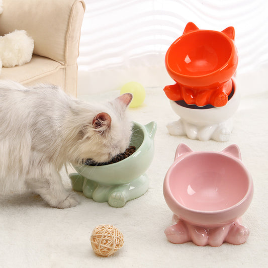 Slanted Ceramic Cat Food Bowl with Neck-Friendly Design