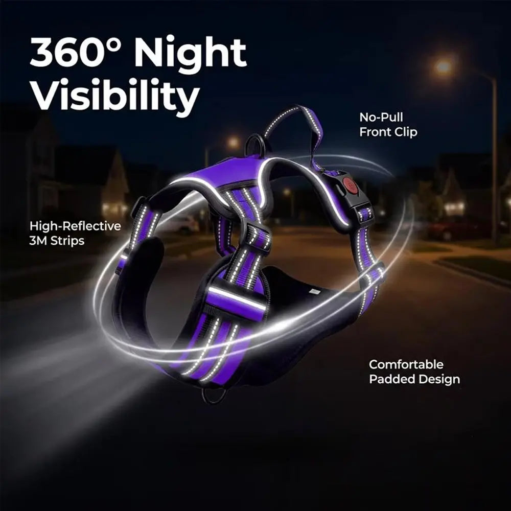 HELETY 3-in-1 Adjustable No-Pull Dog Vest Harness and Leash Set, Available in S-XL, Features Dual D-Ring Clips, 360° Reflective Design, Padded Chest, Durable Oxford Fabric, Night Safety, Integrated Poop Bag Holder, and Tangle-Free Bungee Strap for Running.
