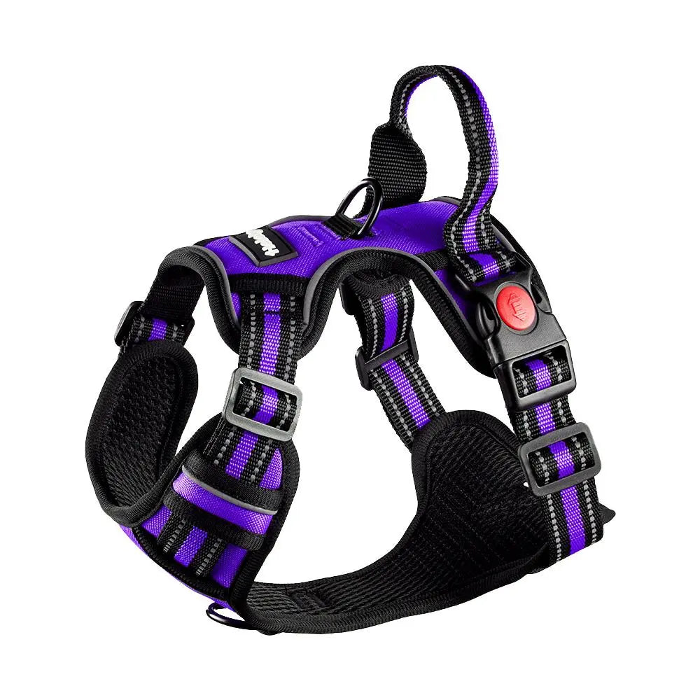 HELETY 3-in-1 Adjustable No-Pull Dog Vest Harness and Leash Set, Available in S-XL, Features Dual D-Ring Clips, 360° Reflective Design, Padded Chest, Durable Oxford Fabric, Night Safety, Integrated Poop Bag Holder, and Tangle-Free Bungee Strap for Running.