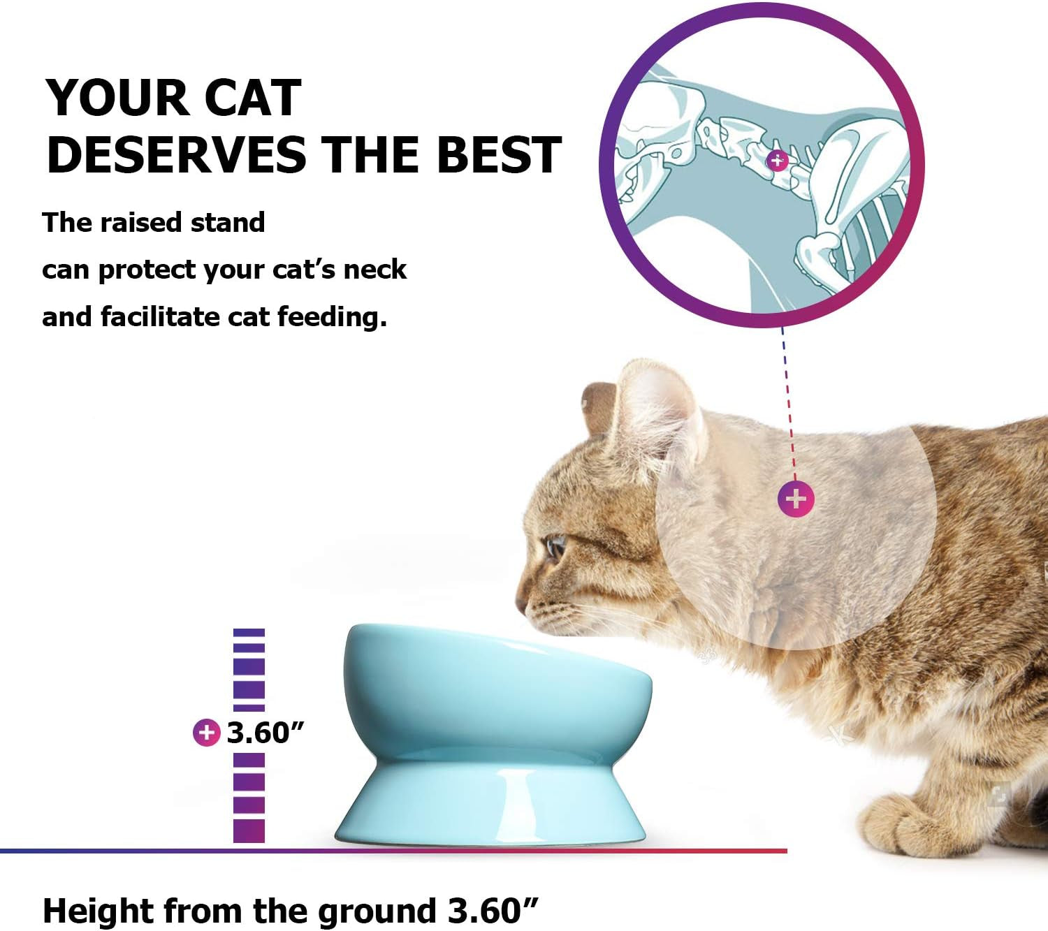 15 oz Slanted Ceramic Cat Food & Water Bowl