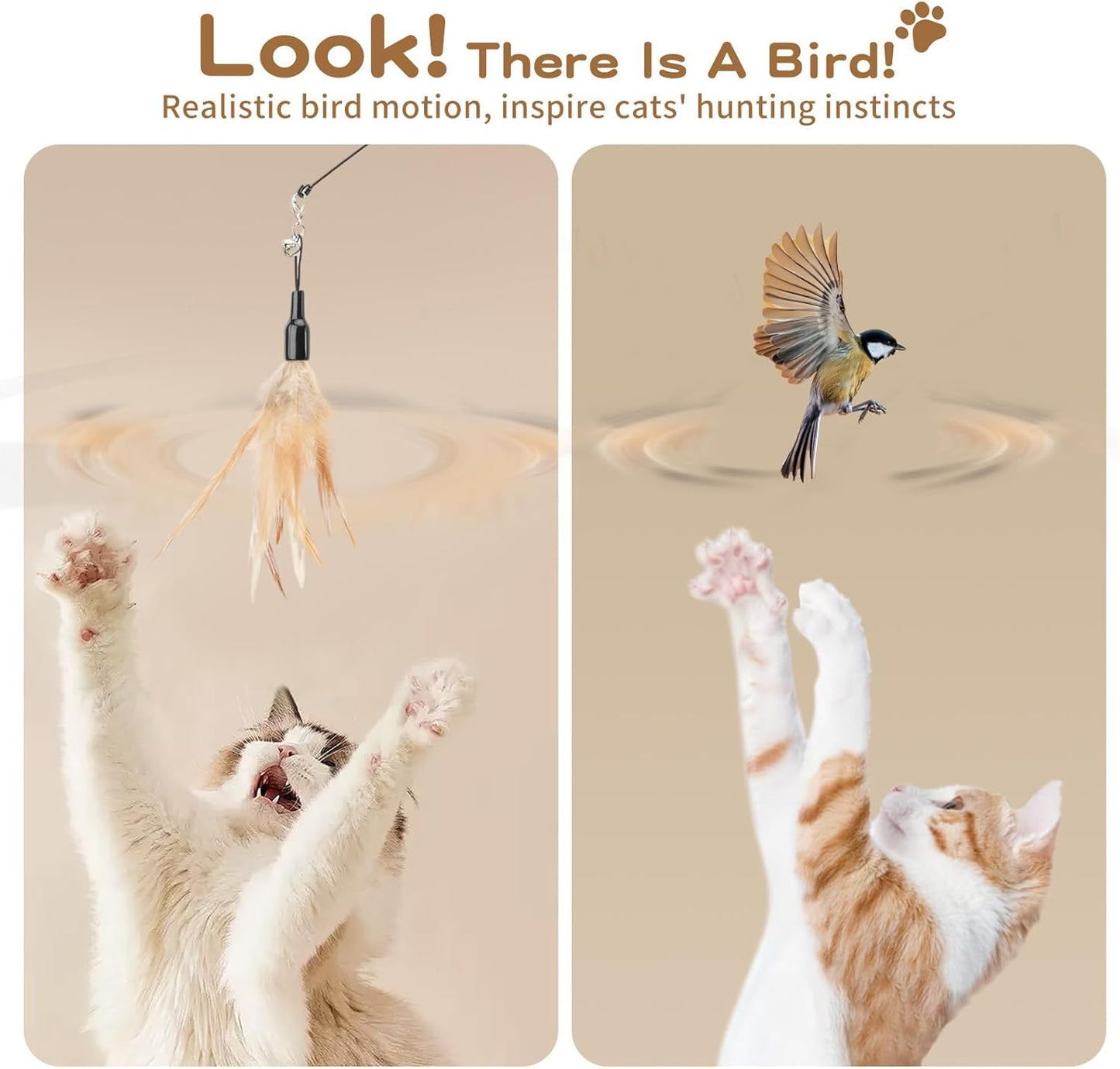 Interactive Feather Wand Cat Toy with Bell for Active Play & Exercise