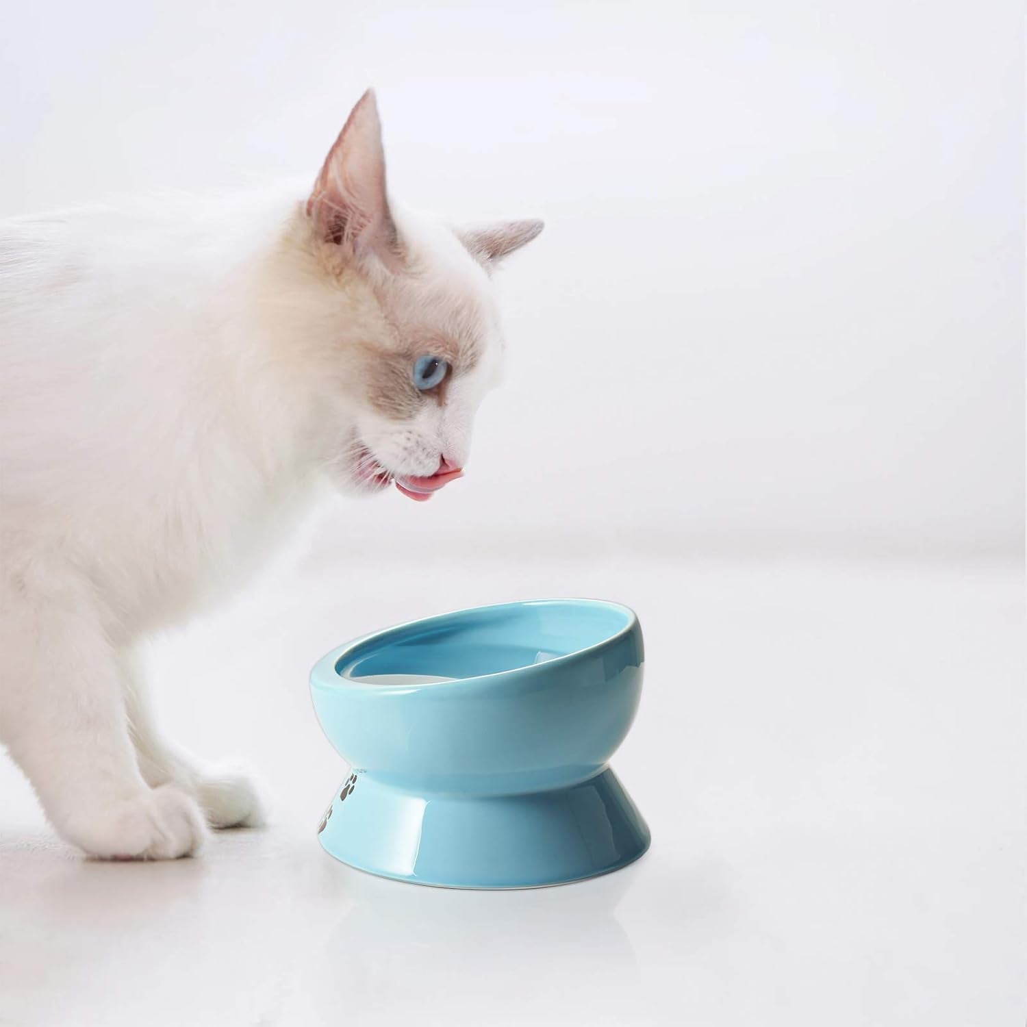 15 oz Slanted Ceramic Cat Food & Water Bowl