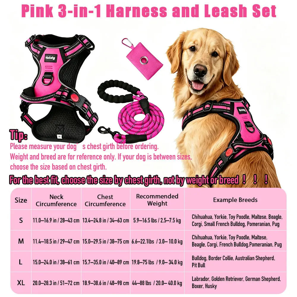 HELETY 3-in-1 Adjustable No-Pull Dog Vest Harness and Leash Set, Available in S-XL, Features Dual D-Ring Clips, 360° Reflective Design, Padded Chest, Durable Oxford Fabric, Night Safety, Integrated Poop Bag Holder, and Tangle-Free Bungee Strap for Running.